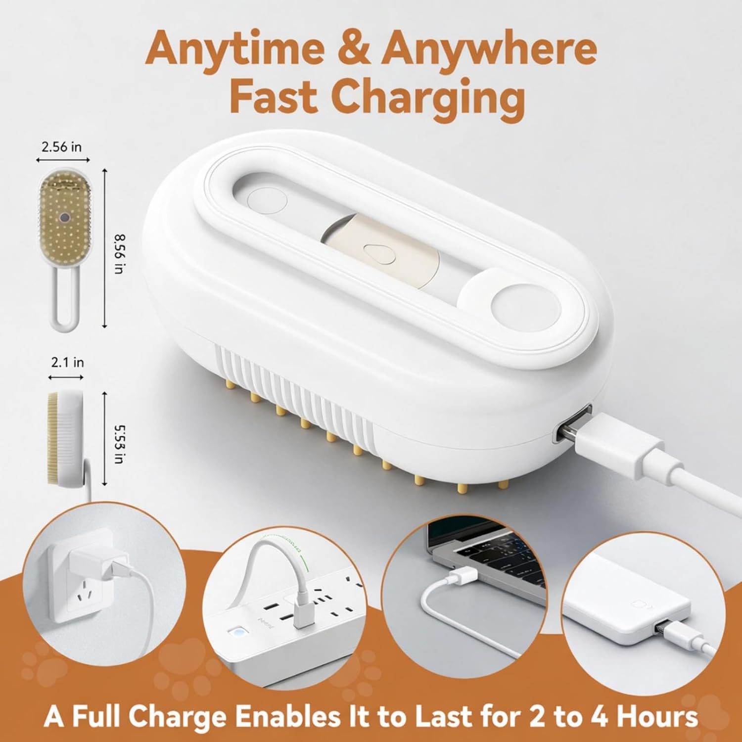 4-in-1 Pet Steam Brush